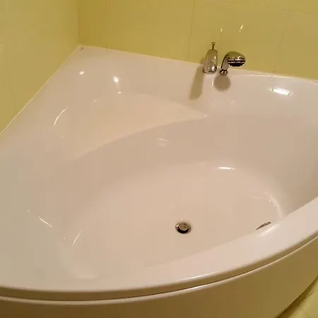 Apartment On Zelena Lviv